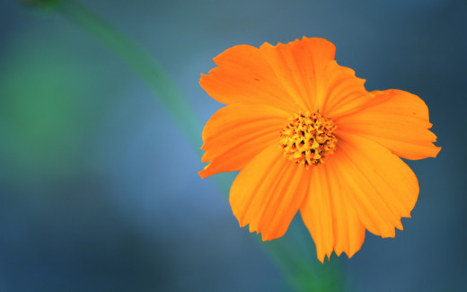 507050 (a): :1920x1200